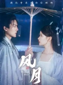 第九个证人剧集封面